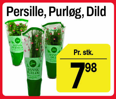 Persille, purløg eller dild