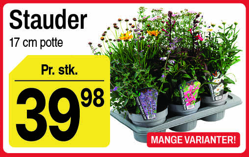 Stauder